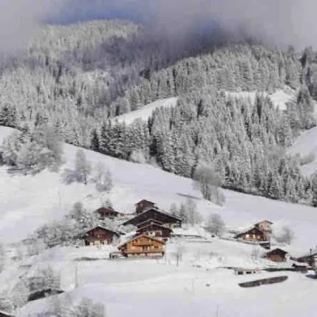 Appartement Chalet Du Planay 1 *